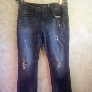 American Rag Boot cut distressed jeans 13R